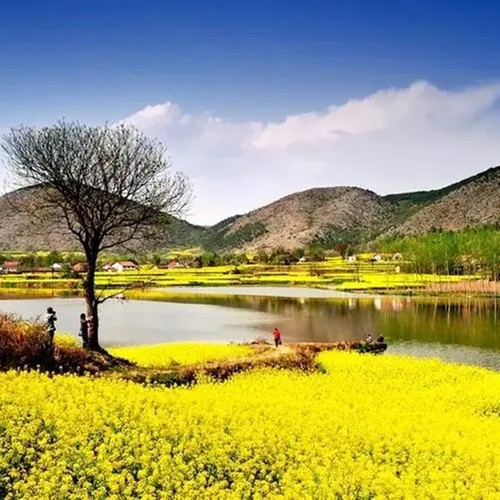 踏春出游赏美景