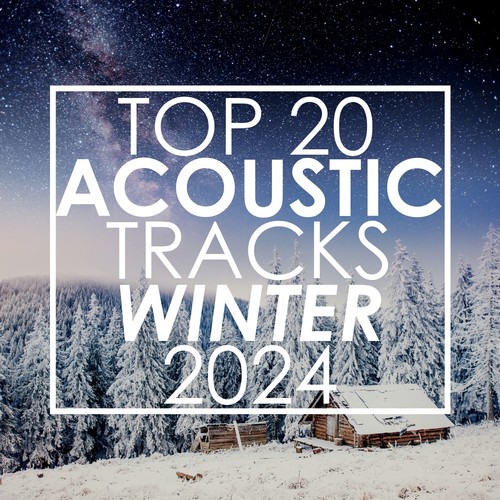 Top 20 Acoustic Tracks Winter 2024 (Instrumental)