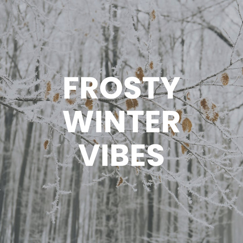 Frosty Winter Vibes (Explicit)