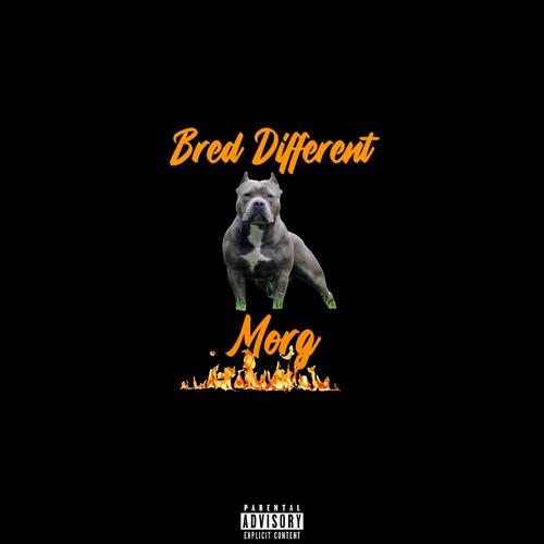 Bred Different (Explicit)