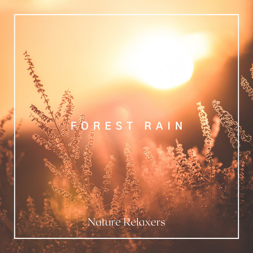 Forest Rain