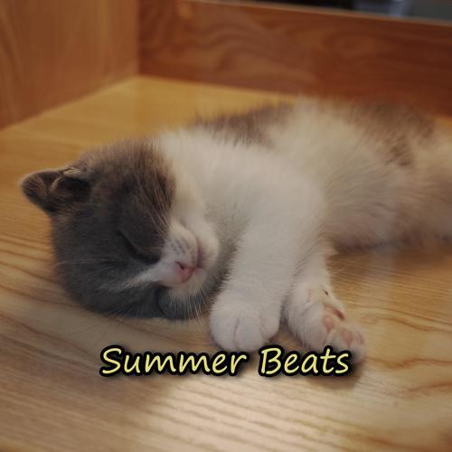 Summer Beats 2020