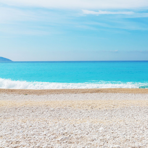 Marine Melodies: Serene Songs of the Ocean