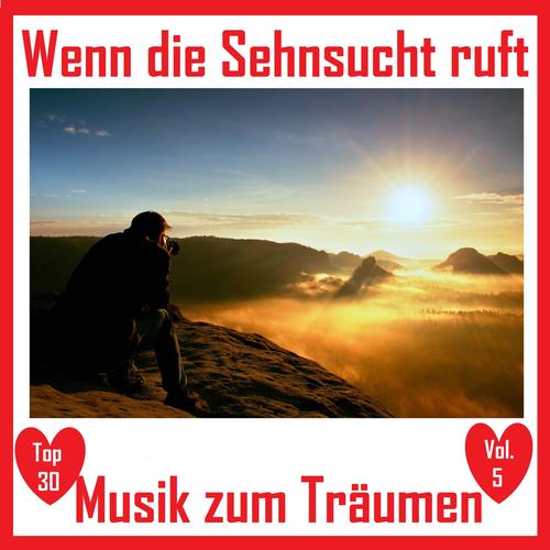 Top 30: Wenn die Sehnsucht ruft - Musik zum Träumen, Vol. 5