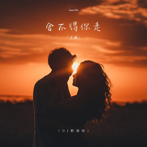 舍不得你走（dj默涵版）