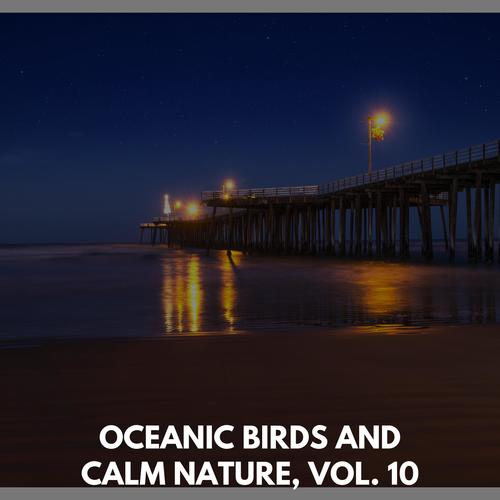 Oceanic Birds and Calm Nature, Vol. 10