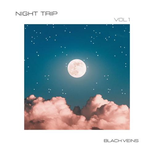 Night Trip (Explicit)