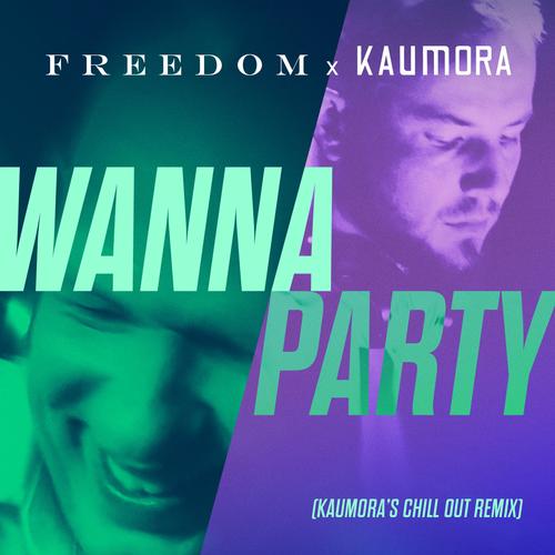 Wanna Party (Chillout Remix)