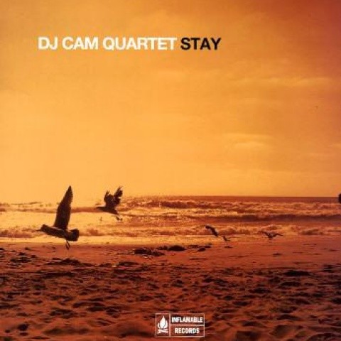 Stay