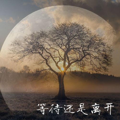 等待还是离开