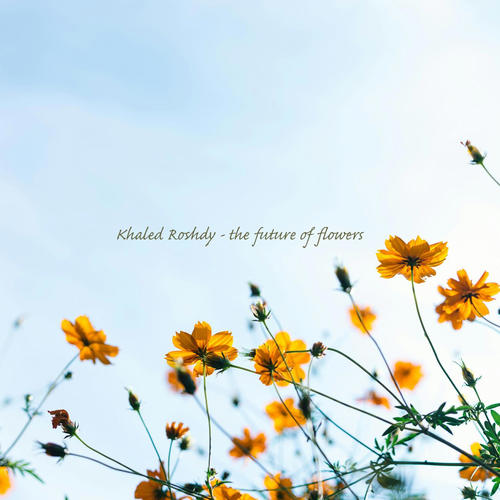 The Future Of Flowers