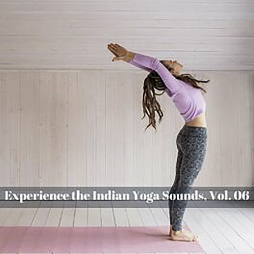 Experience The Indian Yoga Sounds, Vol. 06