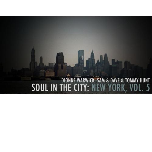 Soul in the City: New York, Vol. 5