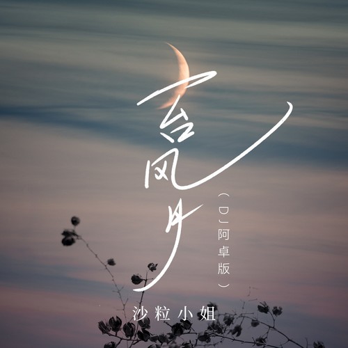 一台风月(DJ阿卓版)