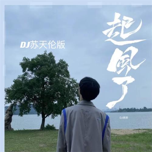起风了 (DJ苏天伦版)
