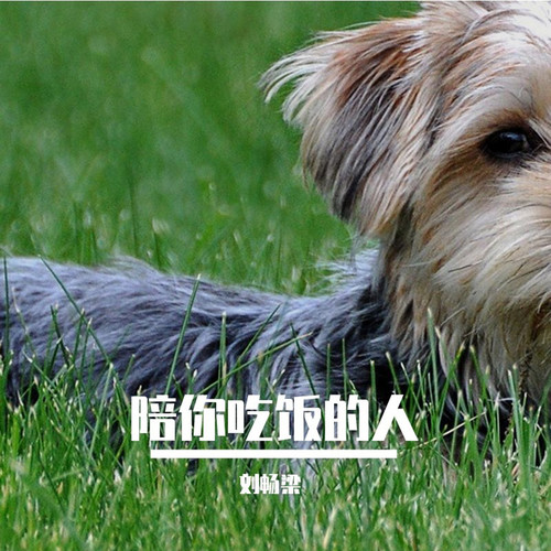 陪你吃饭的人