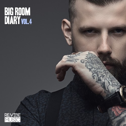 Big Room Diary, Vol. 4