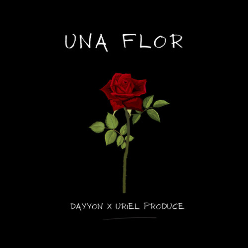 Una Flor