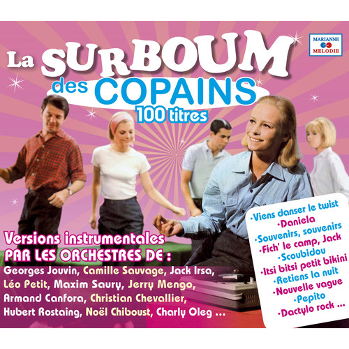 La surboum des copains