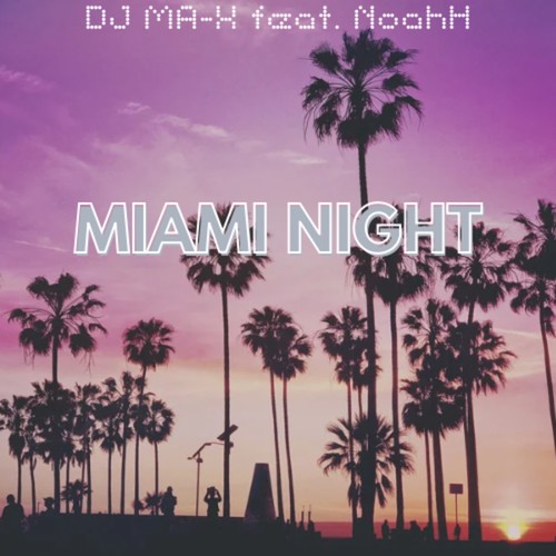 Miami Night