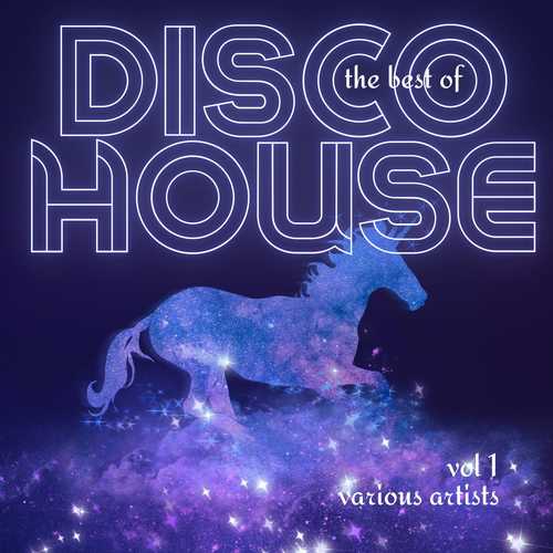 The Best of Disco House, Vol. 1 (Explicit)