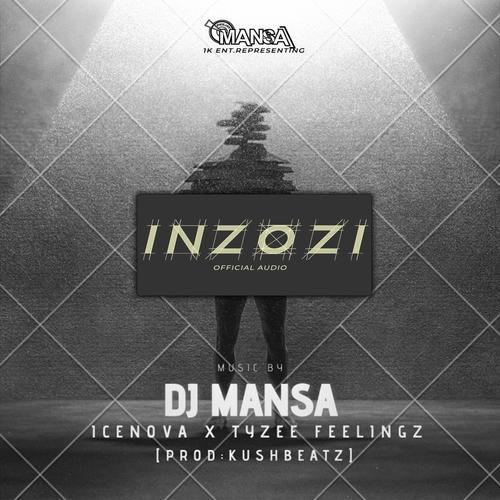 INZOZI (feat. Icenova & Tyzee Feelingz)