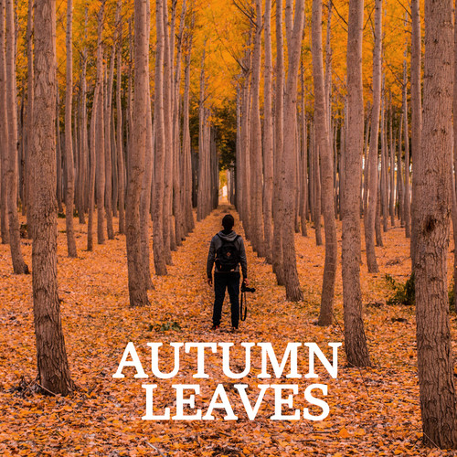 Autumn Leaves (Explicit)