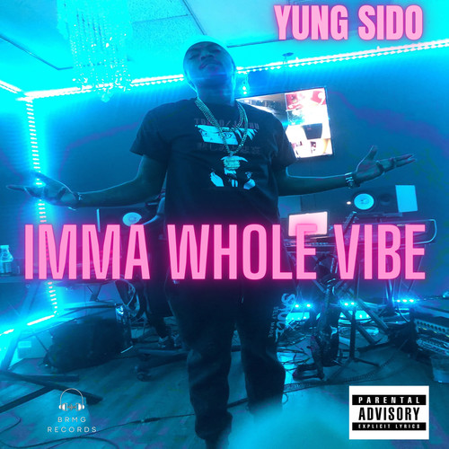 Imma Whole Vibe (Explicit)