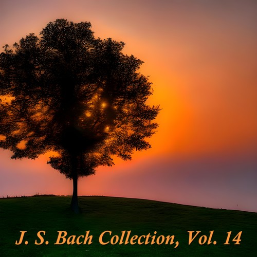 J. S. Bach Collection, Vol. 14