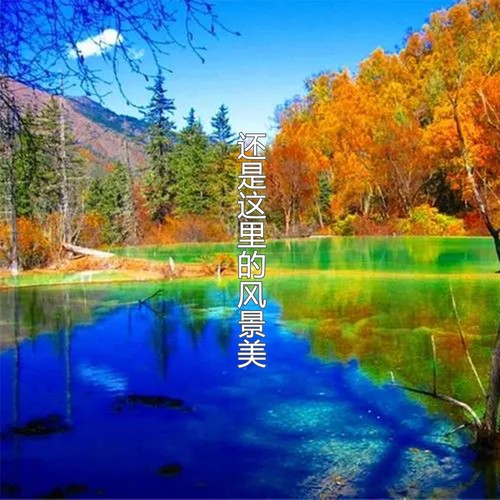 还是这里的风景美