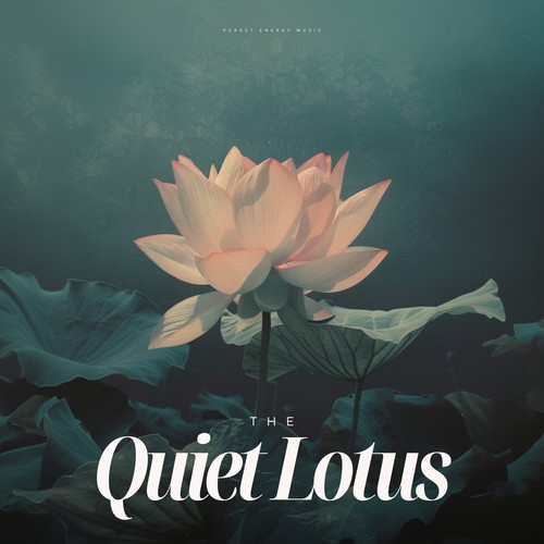 The Quiet Lotus