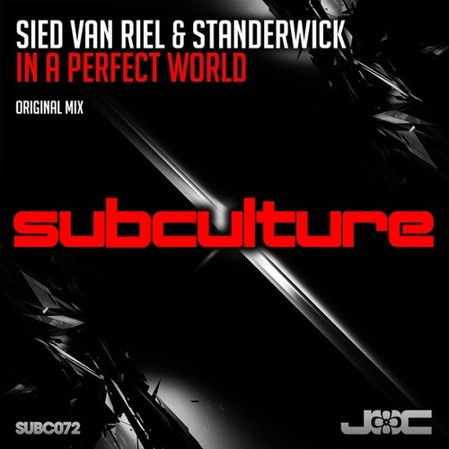 In a Perfect World (Original Mix) - Single