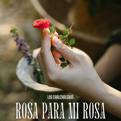 Rosa Para Mi Rosa