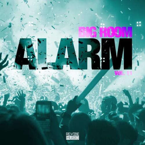 Big Room Alarm, Vol. 11