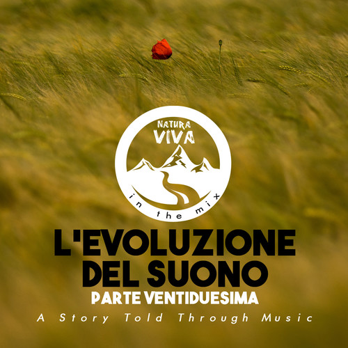 L'Evoluzione del Suono (Parte Ventiduesima)