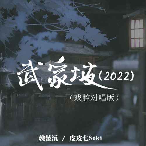 武家坡（2022）（戏腔对唱版）