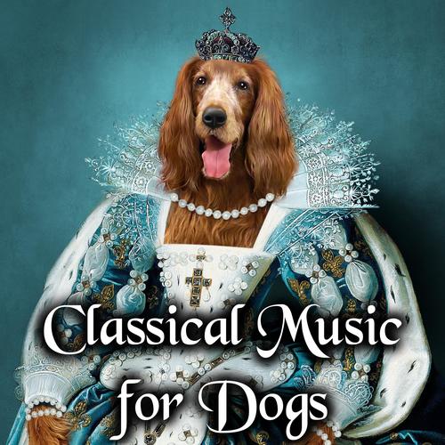 Classical Music for Dogs