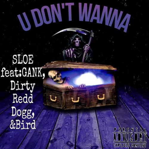 U Don't Wanna (Explicit)