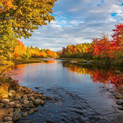 Eternal River Reflections: Relaxing Music Water Serenity