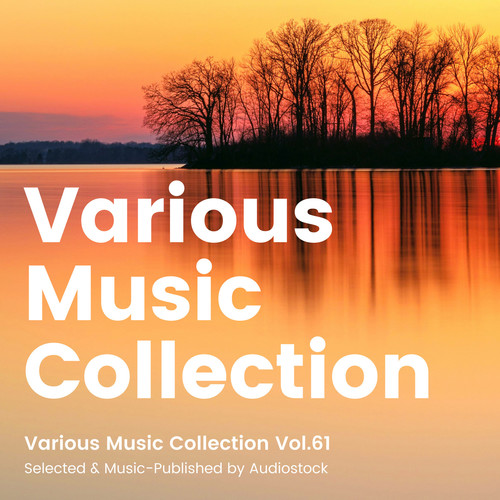 Various Music Collection Vol.61 -Selected & Music-Published by Audiostock-