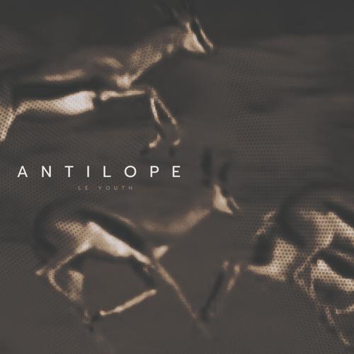 Antilope (Explicit)