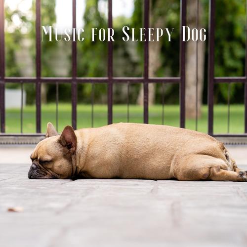 Music for Sleepy Dog