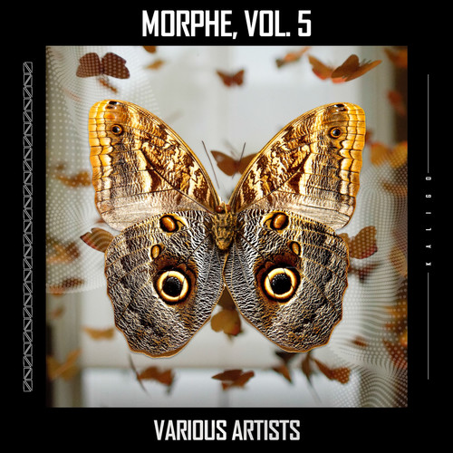 Morphe, Vol. 5