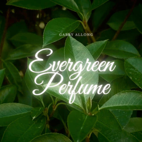 Evergreen Perfume