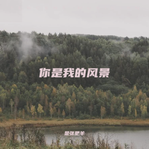 你是我的风景