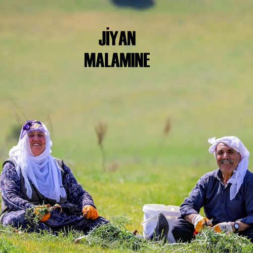 Malamıne