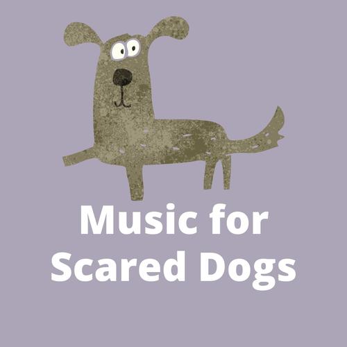 Music for Scared Dogs