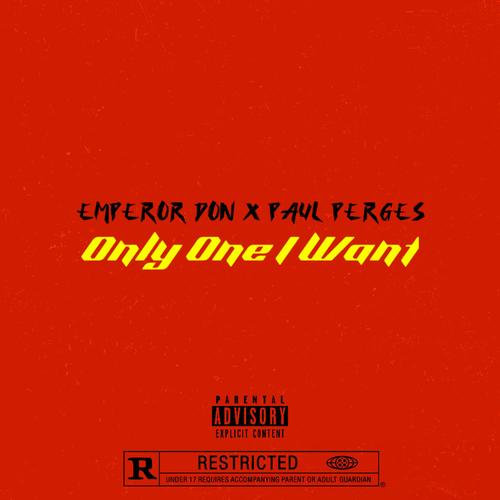 Only One I Want (feat. Paul Perges) [Explicit]