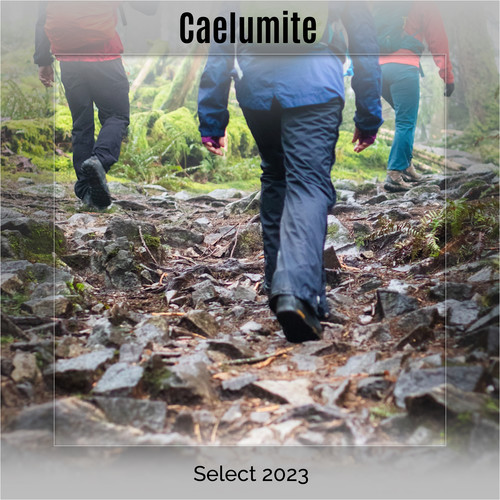Caelumite Select 2023
