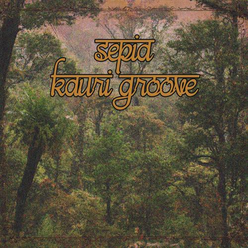 Kauri Groove